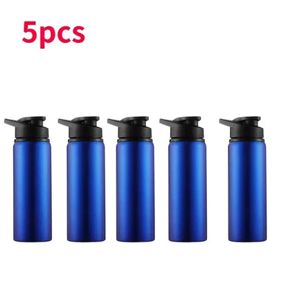 Gourde en Acier Inoxydable 600ml — Sport, Voyage & Quotidien | Vie Essentielle